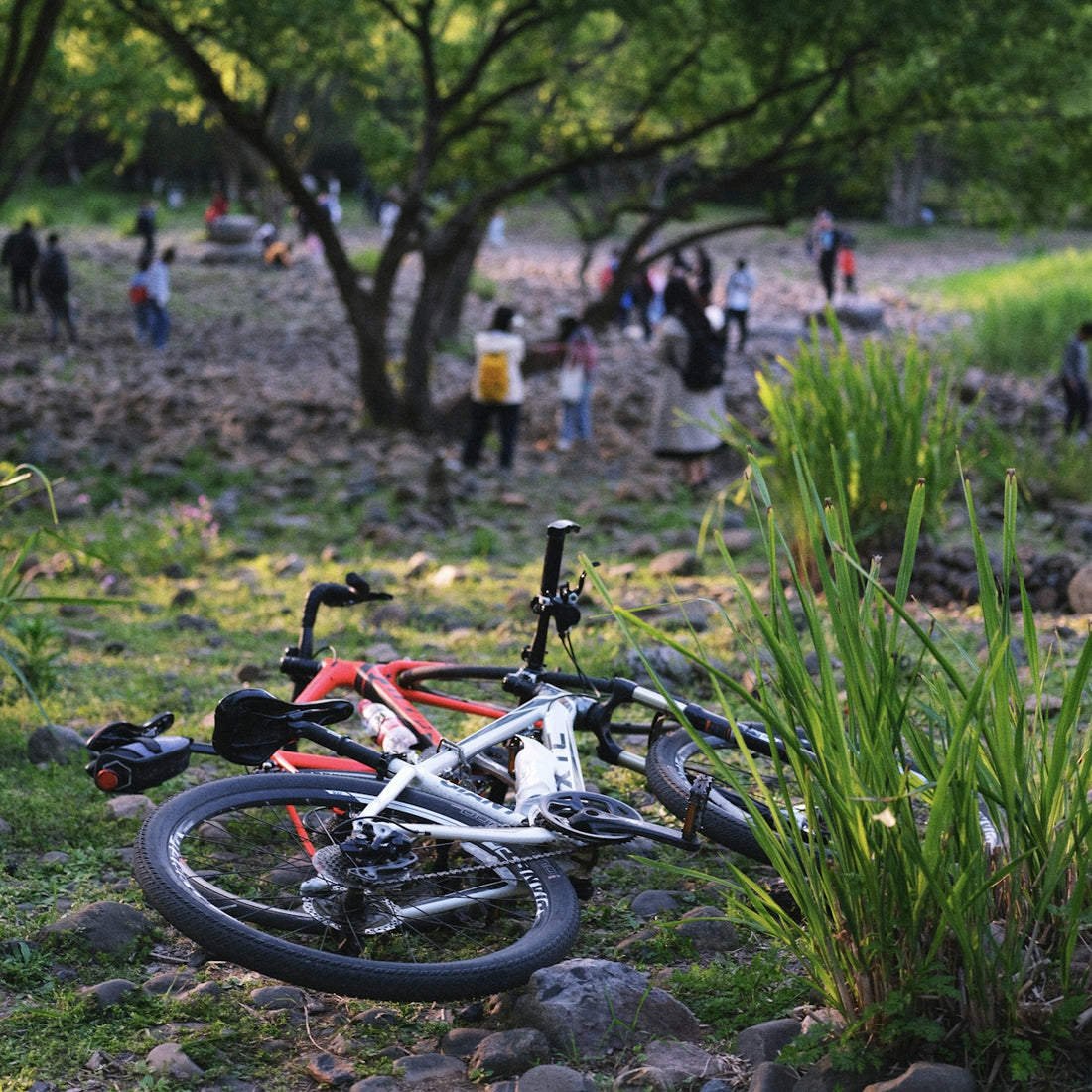 a bicycle laying on the ground in a park
