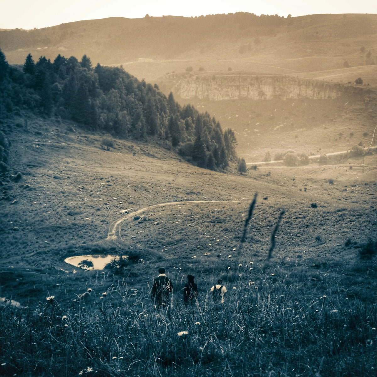 a group of people walking on a dirt road in a field