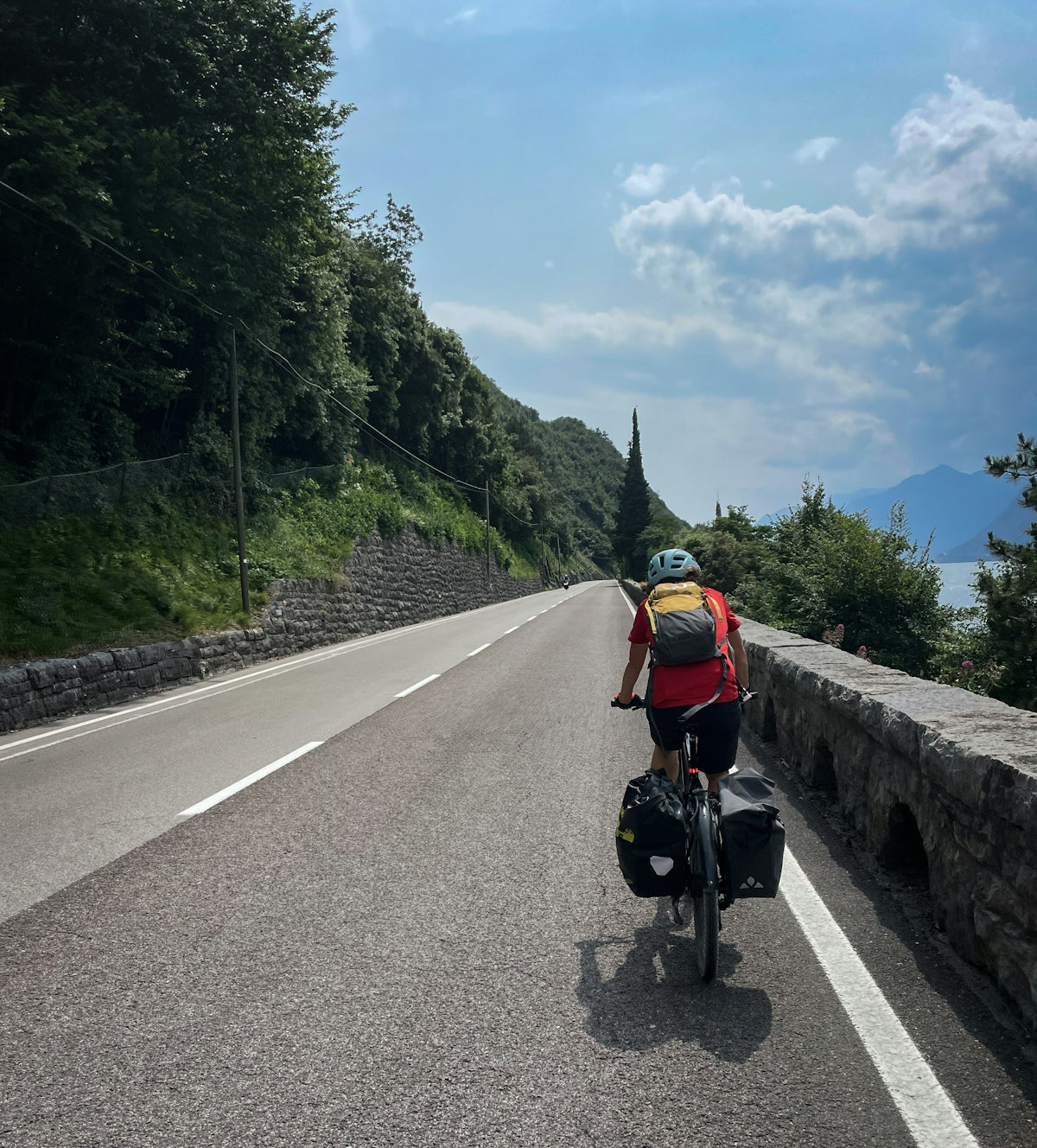 A cyclist rides along a scenic road