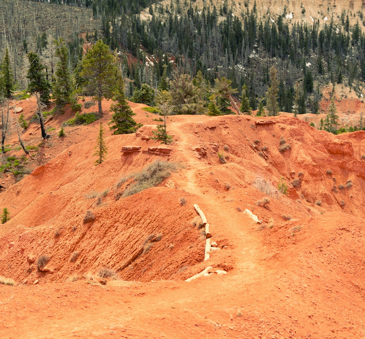 Red rock formations with a hiking trail and trees