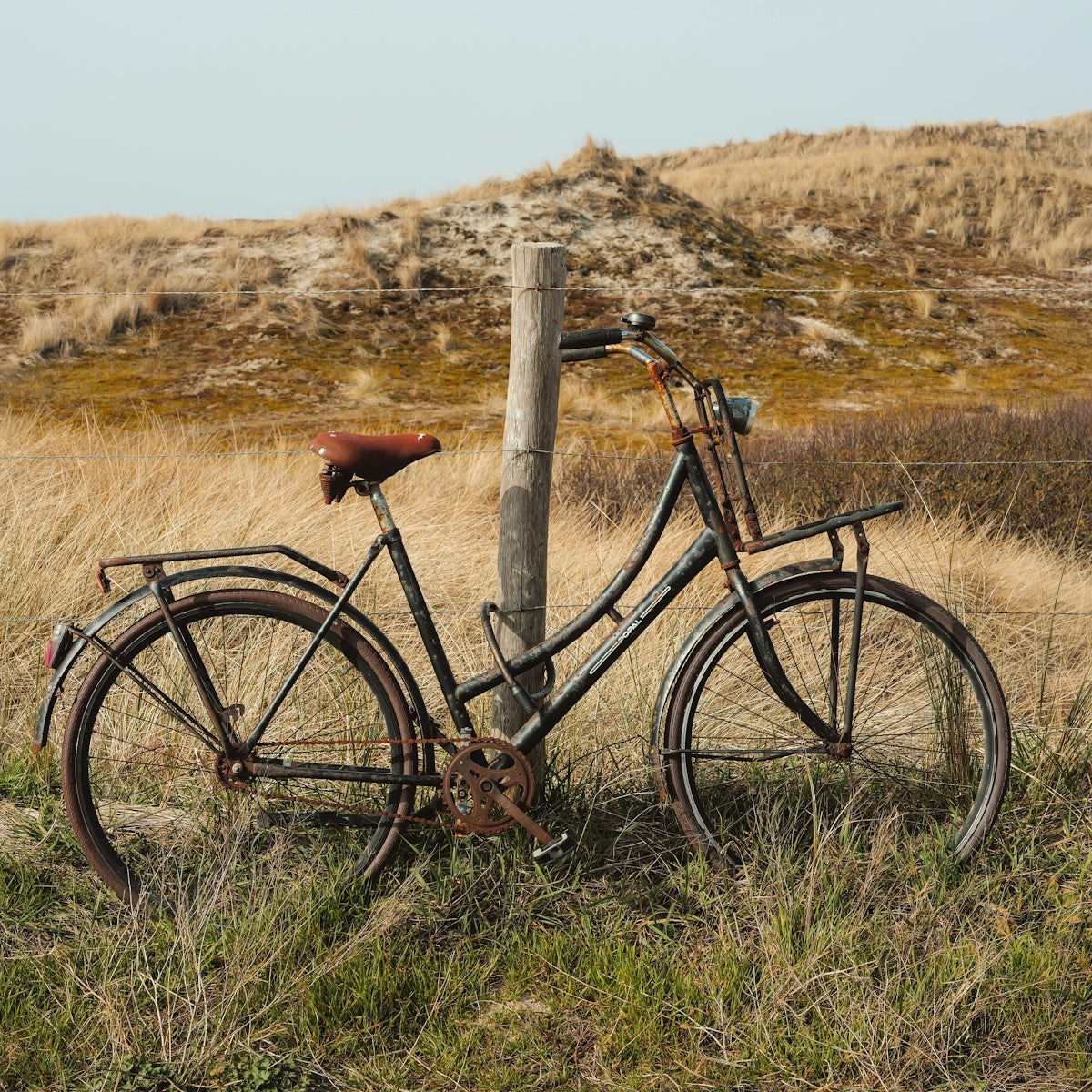 Old bicycle leaning against a wooden post outdoors