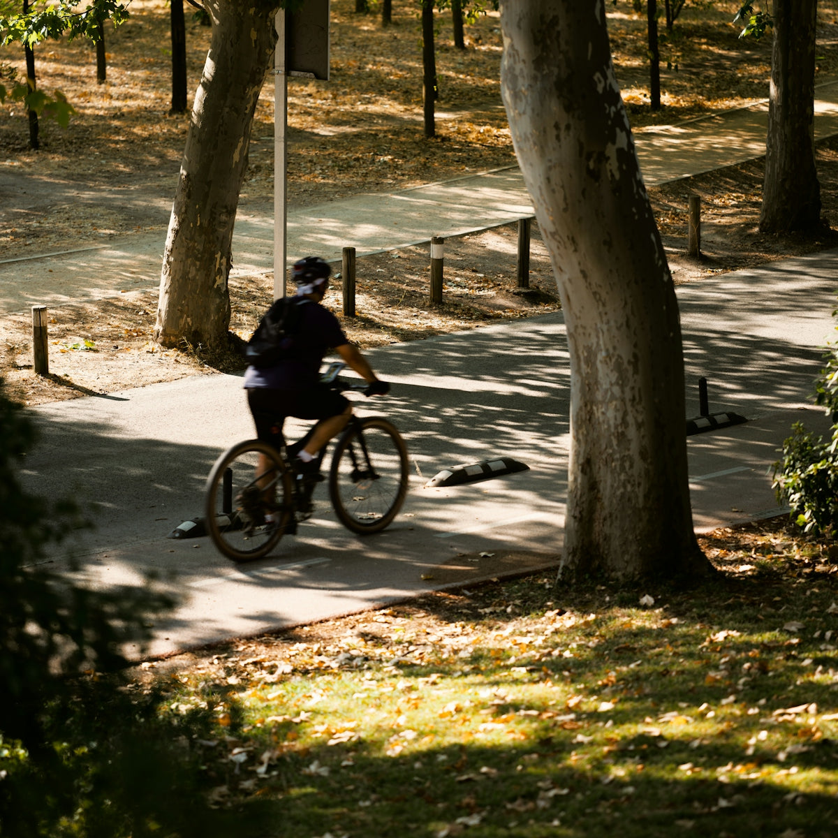 A person cycling on a paved path between trees in a park